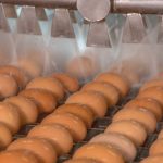 Egg Washing Machine: A Helpful Solution for Egg Business